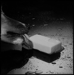 different notions of cleanliness