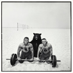 barbarian brothers wolin