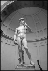 david italy wolin