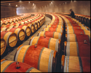opus one cellar